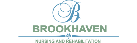 Logo Brookhaven
