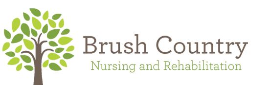 Logo Brush County